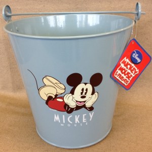 disneybucket