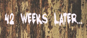 42 weeks later